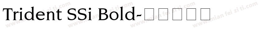 Trident SSi Bold字体转换